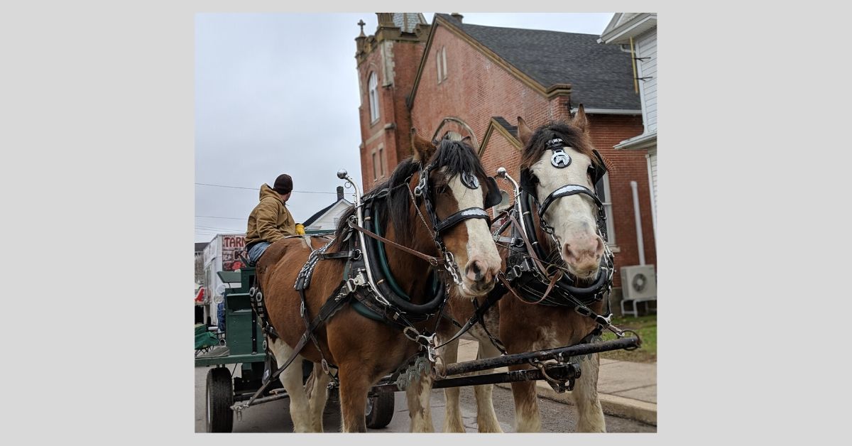 BentonWinterfest_horses_2019.jpg